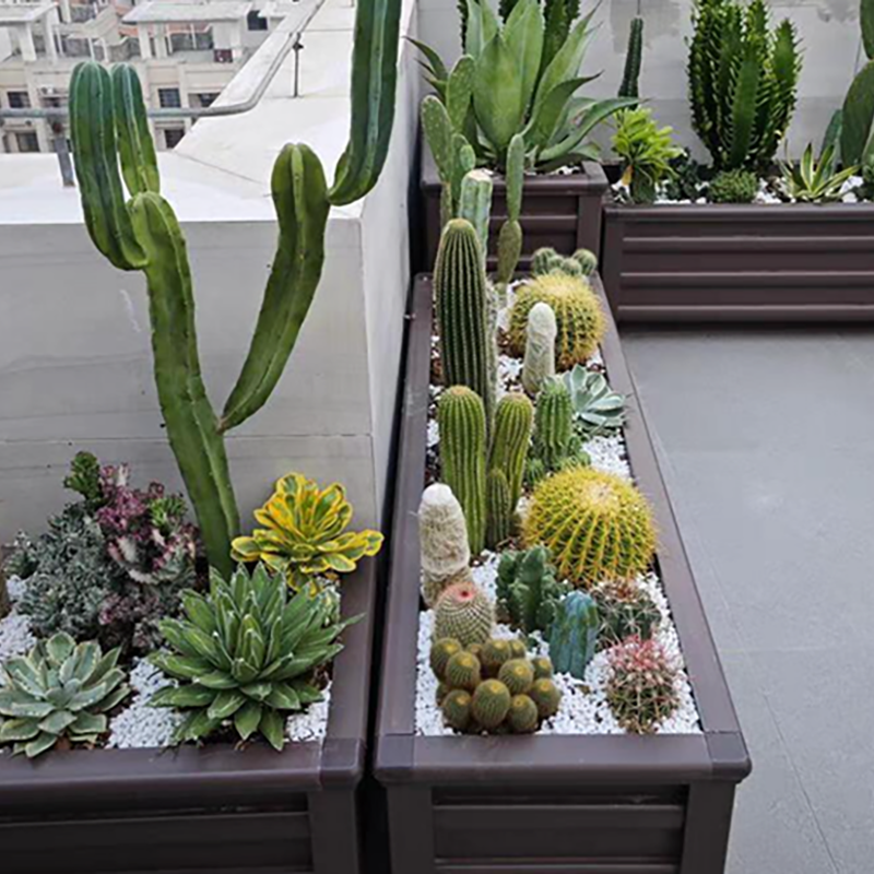 [Anneng Smart Doors and Windows X Aluminum Art Flower Box] High-Value Garden Artifact! The Centerpiece of Your Villa Garden, Allowing You to Grow Both Flowers and Vegetables